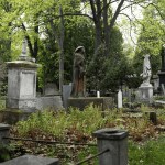 Thembisa Cemetery Neglect: Hazardous Conditions Pose Danger to Grieving Families and Residents