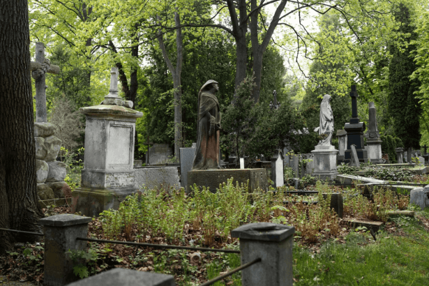 Thembisa Cemetery Neglect: Hazardous Conditions Pose Danger to Grieving Families and Residents