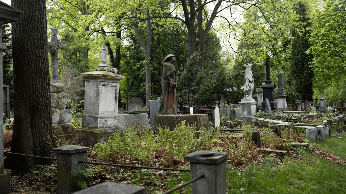 Thembisa Cemetery Neglect: Hazardous Conditions Pose Danger to Grieving Families and Residents 69 Thembisa Cemetery Neglect: Hazardous Conditions Pose Danger to Grieving Families and Residents