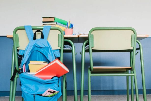 Gauteng Teacher Fired After Telling Pupil He Stinks and Has ‘a Big Head’