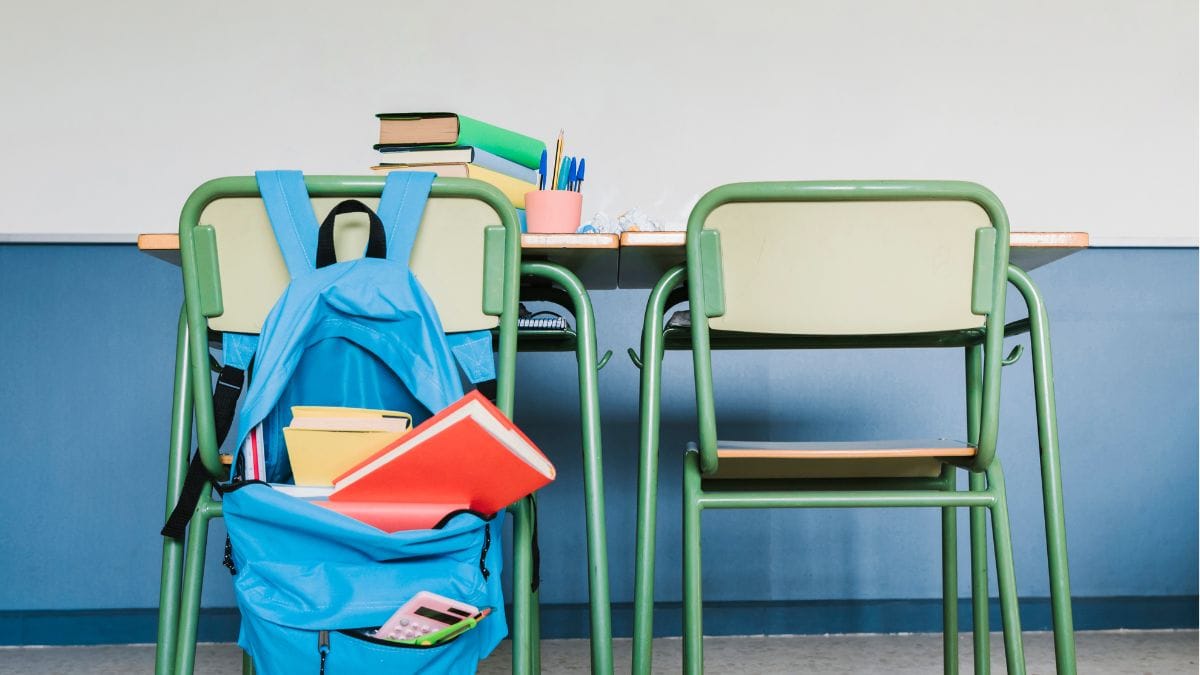 Gauteng Teacher Fired After Telling Pupil He Stinks and Has ‘a Big Head’