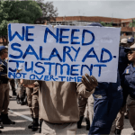 Gauteng Committee Warns of Safety Risks Due to EMPD Suspensions, Urges Urgent Action