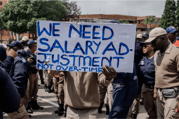 Gauteng Committee Warns of Safety Risks Due to EMPD Suspensions, Urges Urgent Action