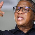 SASSA SRD Grant May Become Basic Income Grant, Says Mbalula in New Statement