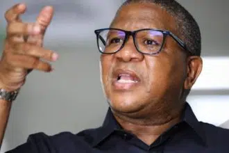 SASSA SRD Grant May Become Basic Income Grant, Says Mbalula in New Statement