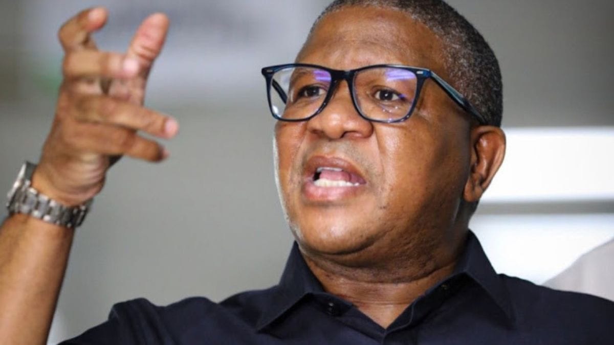 SASSA SRD Grant May Become Basic Income Grant, Says Mbalula in New Statement