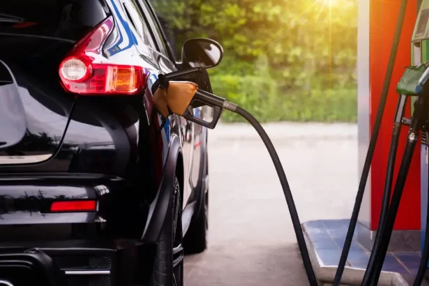 Fuel Levy Hike: South Africans Warned to Brace for Petrol and Diesel Price Increases in June