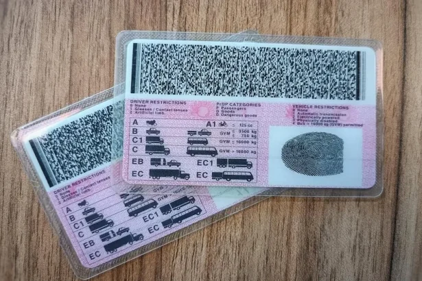 OUTA Urges Minister Creecy to Reveal Details Behind New Driver’s License Changes