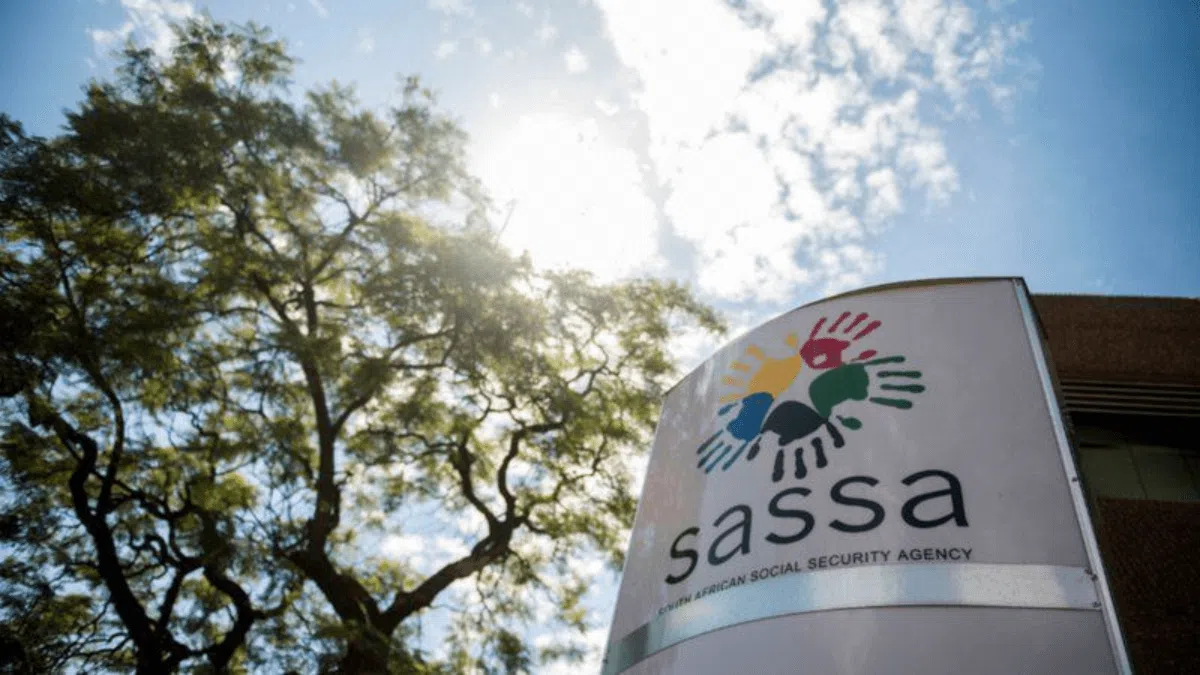 SASSA Update: What You Need to Know About the Social Grants Review Process