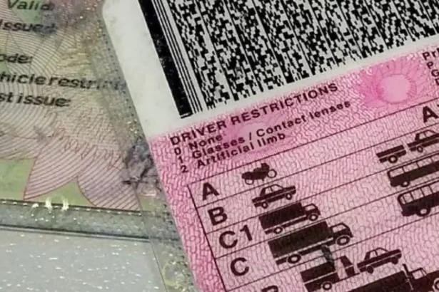 South Africa’s Driver’s Licence Machine Fixed, But Another Problem Remains (11)
