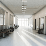 The State of Public Healthcare in South Africa: Progress and Persistent Challenges