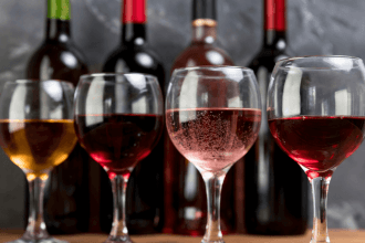 The Best Wines for Beginners in South Africa and Where to Find Them