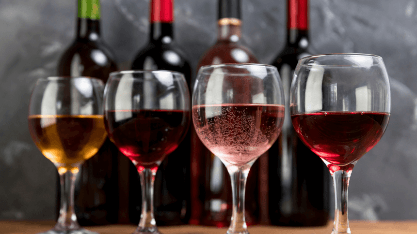 The Best Wines for Beginners in South Africa and Where to Find Them