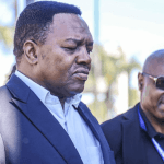 Tender Tycoon to Sue Police Chief Fannie Masemola Over Cancelled R360 Million SAPS Contract