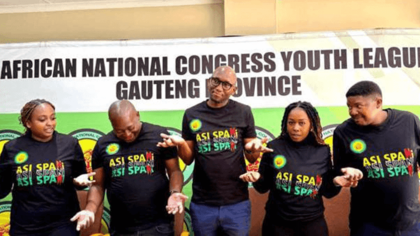 Gauteng ANCYL Slams Lesufi: Claims of 'Abusive Relationship' and Youth Exclusion