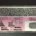 Driver's License Renewal Fees Where Your Money Really Goes