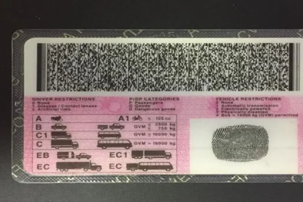 Driver's License Renewal Fees Where Your Money Really Goes