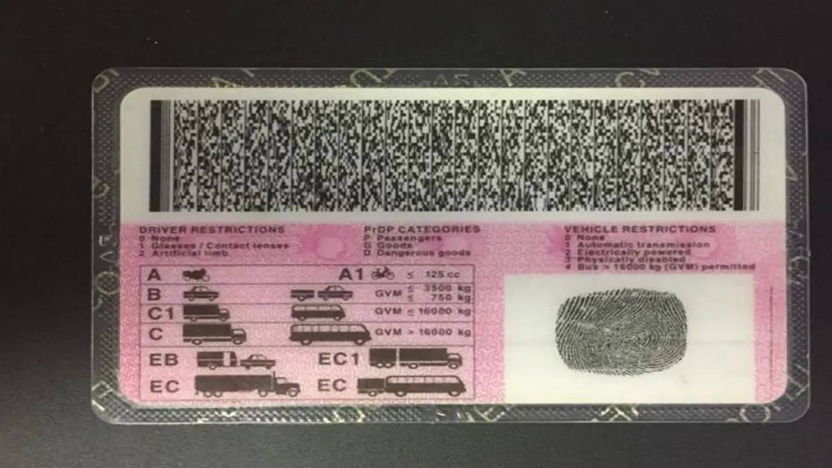 Driver's License Renewal Fees Where Your Money Really Goes