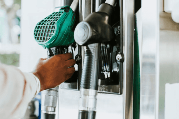 Court Rejects EFF Bid to Block Fuel Levy Hike, Sparking 'Unconstitutional Tax' Debate