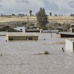 11 Hours on a Tree: Woman's Harrowing Survival Story During Mthatha Floods