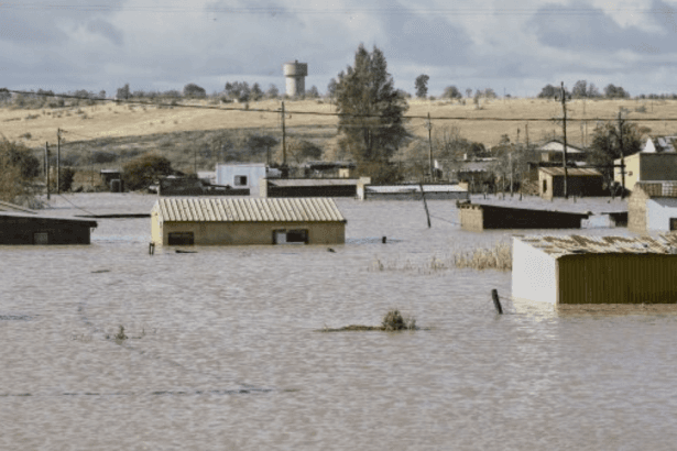 11 Hours on a Tree: Woman's Harrowing Survival Story During Mthatha Floods
