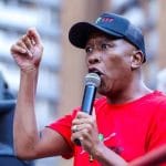 Trump Advisor Calls for Malema Apology Over 'Kill the Boer' Chant, Citing Harm to SA’s Whites