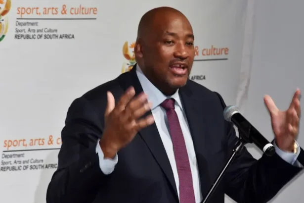 Ministers Can’t Fly Cheap, Says Gayton McKenzie as Travel Costs Cross R4.8 Million