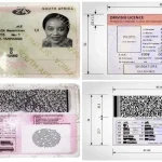 Outa Demands No Fines for Drivers Amid Licence Printing Backlog in South Africa