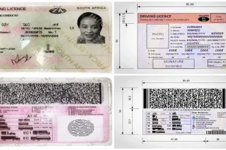 Outa Demands No Fines for Drivers Amid Licence Printing Backlog in South Africa