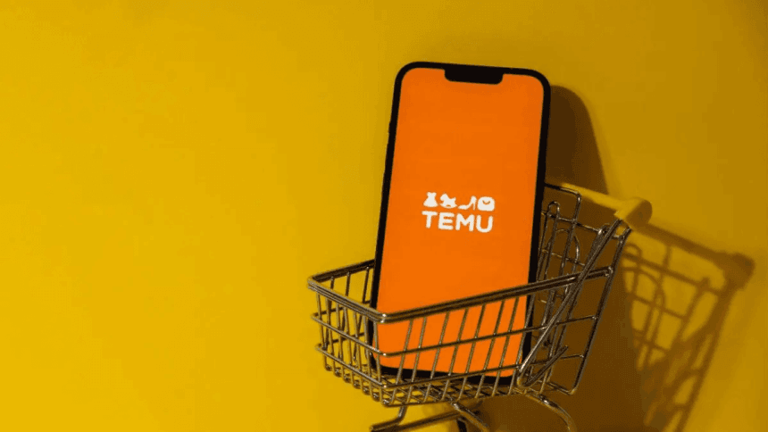 Tips on What to Look Out for When Buying from Temu