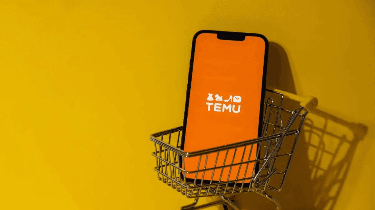 Tips on What to Look Out for When Buying from Temu 51 Tips on What to Look Out for When Buying from Temu