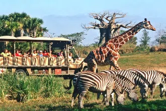 Travel and Leisure (2)