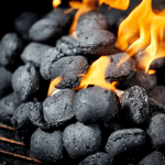 The Best Charcoal Price for Your June 16 Braai: Checkers vs Pick n Pay