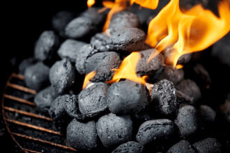 The Best Charcoal Price for Your June 16 Braai: Checkers vs Pick n Pay