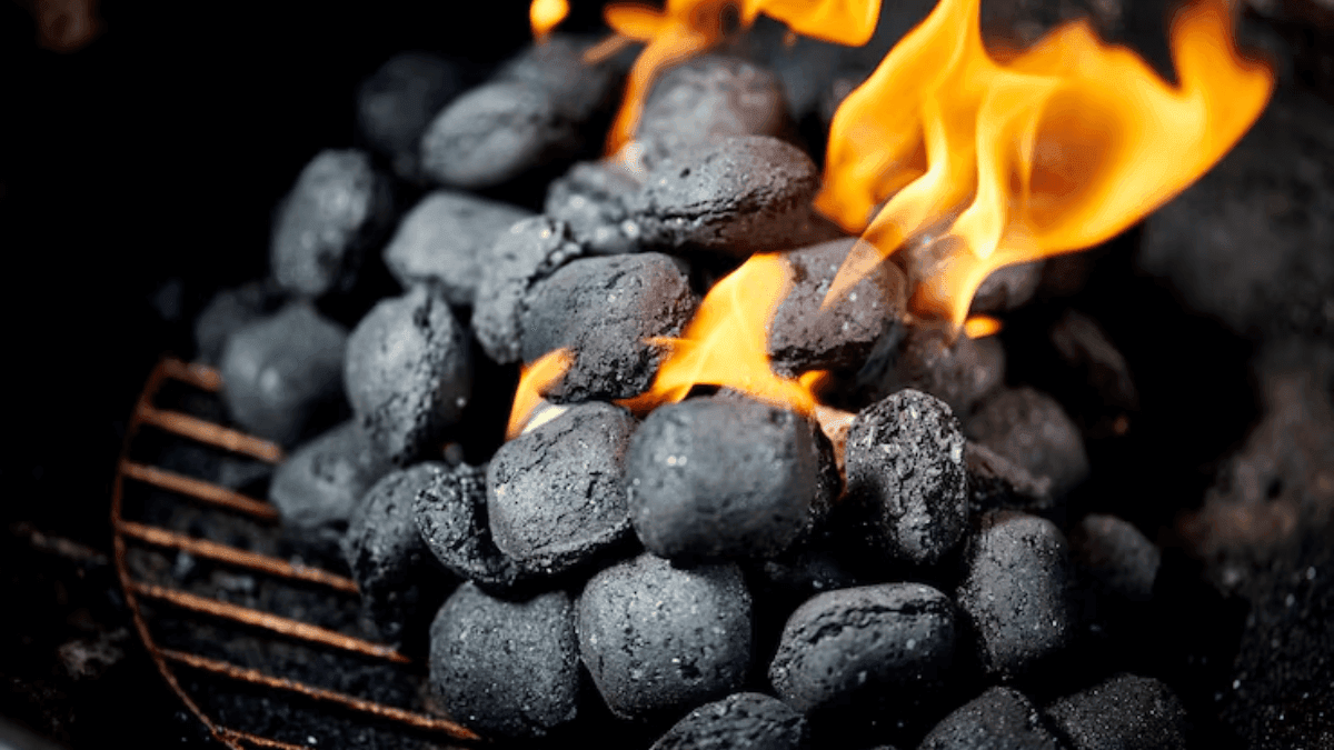 The Best Charcoal Price for Your June 16 Braai: Checkers vs Pick n Pay