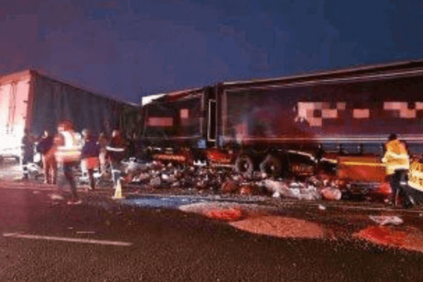 At Least 12 Killed in Tragic Bus and Truck Collision Near Vryheid, KwaZulu-Natal