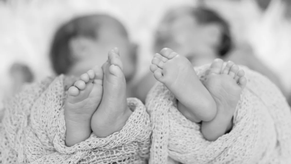 Gauteng Health Urges Vigilance After Twin Baby Abductions Rock Public Clinics 50 Gauteng Health Urges Vigilance After Twin Baby Abductions Rock Public Clinics