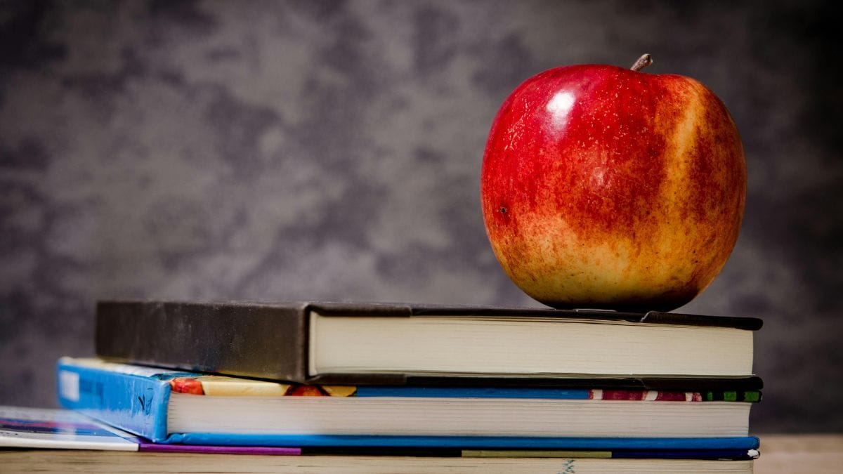 Back to School: How Long Will Term 3 Be?