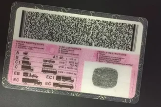 Driver’s Licence Validity May Be Extended as AARTO Demerit System Set for October Rollout