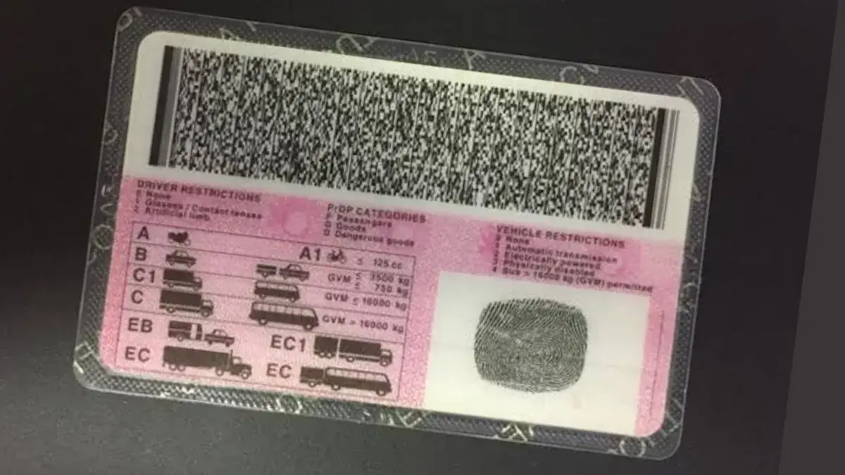Driver’s Licence Validity May Be Extended as AARTO Demerit System Set for October Rollout