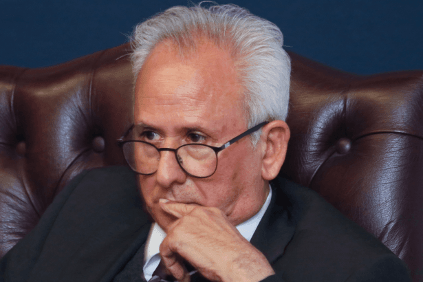 Who is Firoz Cachalia, South Africa's New Acting Police Minister?