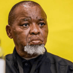 President Ramaphosa Appoints Gwede Mantashe as Acting Police Minister with Immediate Effect