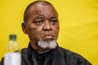 President Ramaphosa Appoints Gwede Mantashe as Acting Police Minister with Immediate Effect