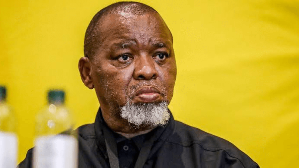 President Ramaphosa Appoints Gwede Mantashe as Acting Police Minister with Immediate Effect