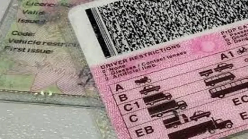 New Launch Date Announced for South Africa’s Driver’s Licence Demerit System