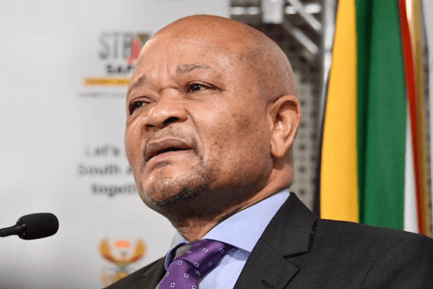 Senzo Mchunu Investigation Delayed: Public Protector Announces Longer Timeline
