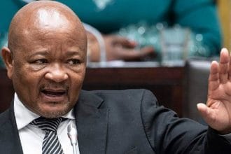 What’s Next for Senzo Mchunu? Police Minister’s Political Career Hanging by a Thread