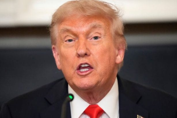 Trump Urges ANC to Denounce 'Kill the Boer' Remarks, Says FF Plus Leader