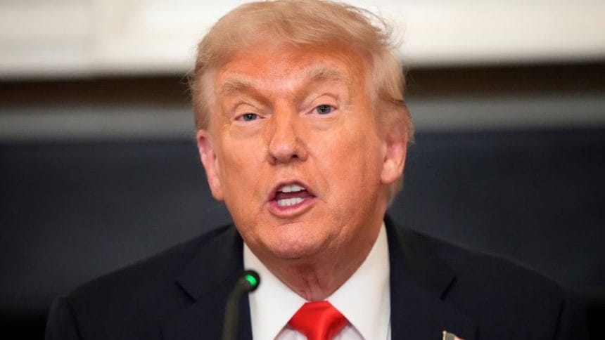 Trump Urges ANC to Denounce 'Kill the Boer' Remarks, Says FF Plus Leader