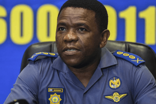 Mkhwanazi vs Mchunu: Thoko Didiza Rules on Explosive Parliament Debate